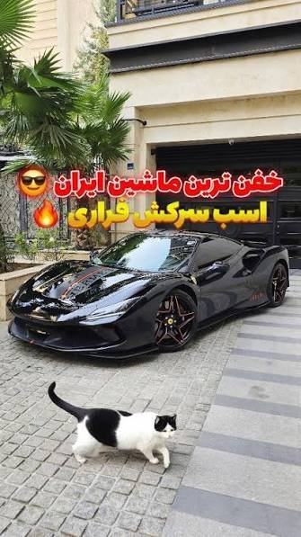 عکس ماشین فراری در تهران