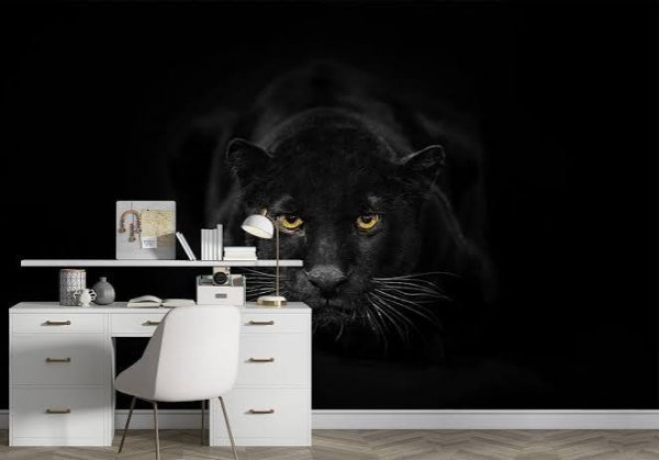  عکس ببر سیاه برای تصویر زمینه