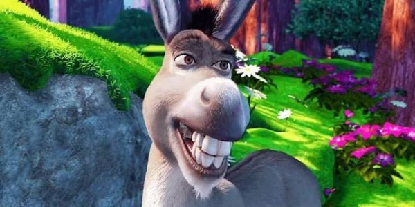  عکس پروفایل شرک Shrek با کیفیت 4K