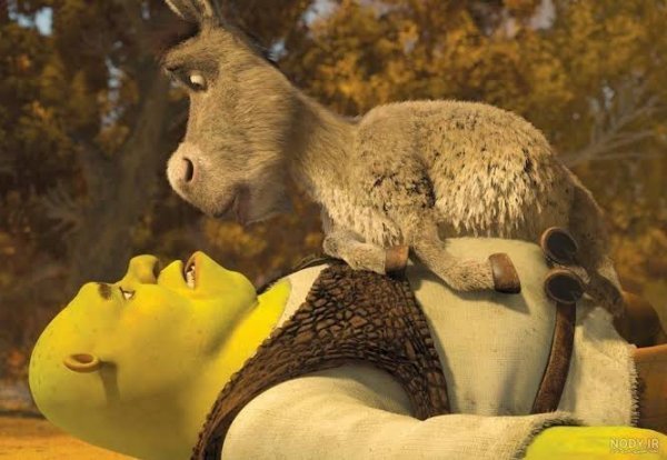  عکس پروفایل شرک Shrek با کیفیت 4K
