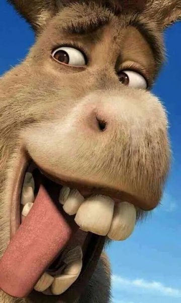  عکس خر شرک برای بک گراند