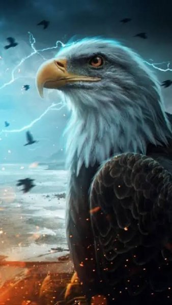  عکس عقاب ترسناک