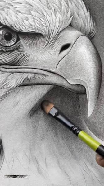  عکس عقاب ترسناک نقاشی