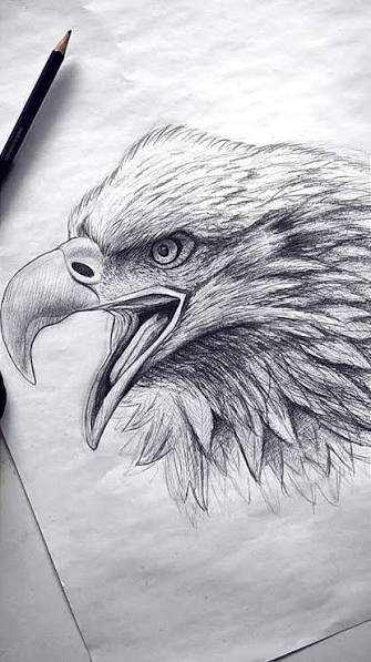  عکس عقاب ترسناک نقاشی