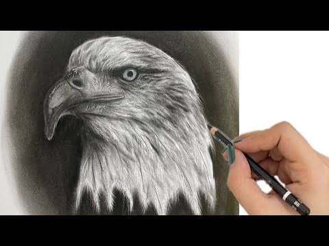  نقاشی عقاب زیبا
