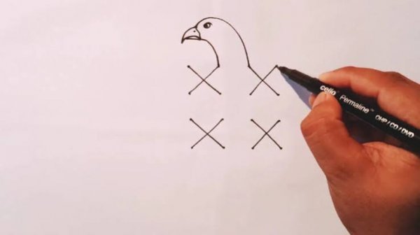  نقاشی عقاب زیبا
