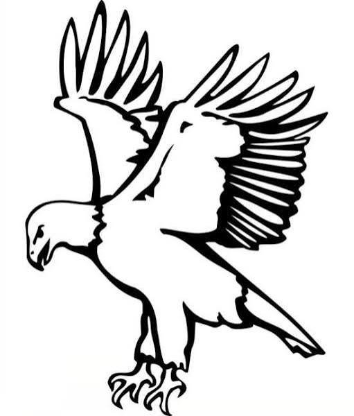  نقاشی عقاب آسان