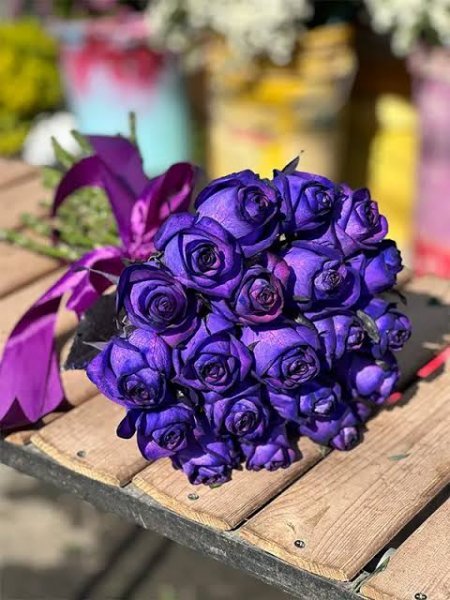  زیباترین عکس گل بنفش