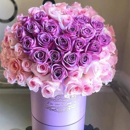  زیباترین عکس گل بنفش