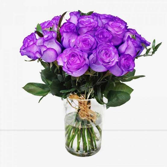  زیباترین عکس گل بنفش