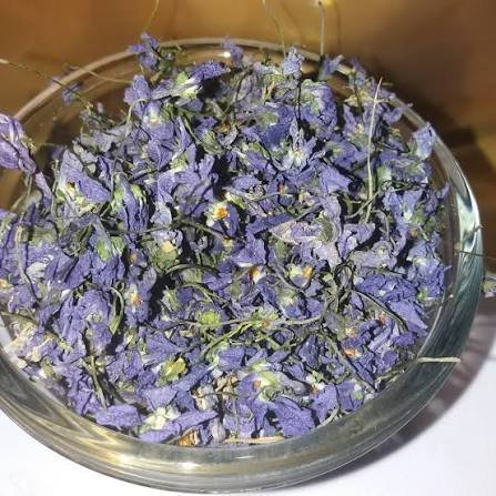  عکس گل بنفشه