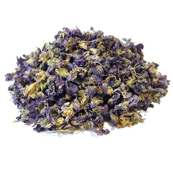  عکس گل بنفشه