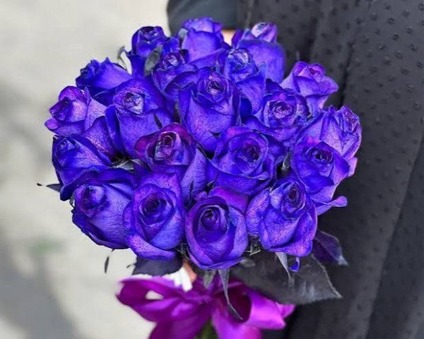  عکس گل بنفشه