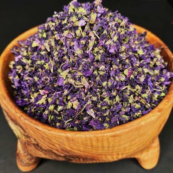  عکس گل بنفشه