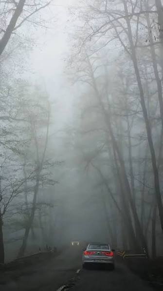  عکس جاده مه‌آلود برای تصویر زمینه