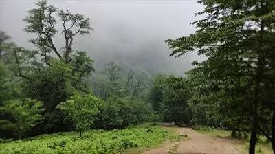  عکس جاده مه‌آلود برای تصویر زمینه