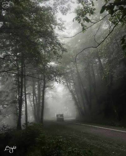  عکس جاده مه‌آلود برای تصویر زمینه