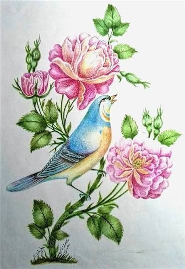  عکس بلبل رنگی