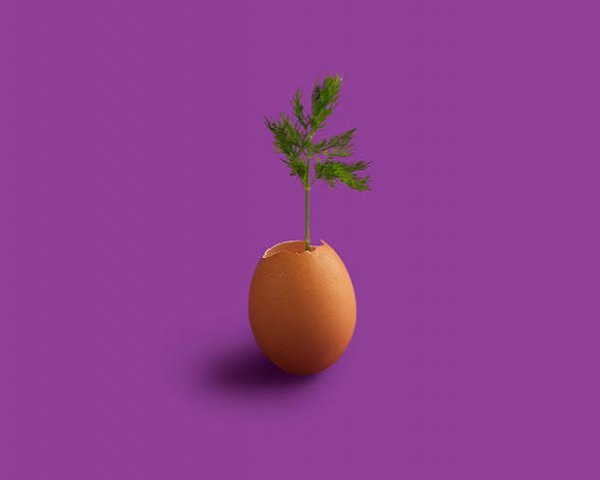  عکس مفهومی با توضیح