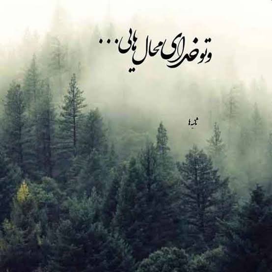  عکس های مفهومی زیبا