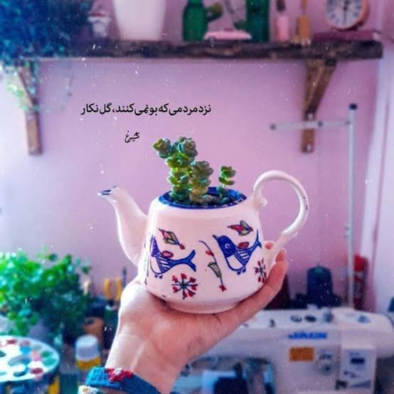  عکس های مفهومی زیبا