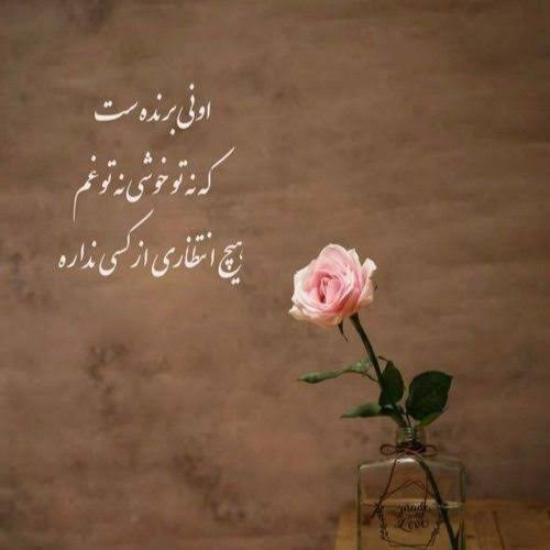 عکس های مفهومی زیبا