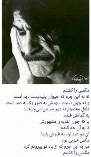  سخنان حسین پناهی برای پروفایل