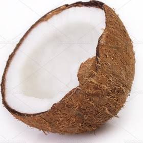  دانلود عکس نارگیل با کیفیت بالا