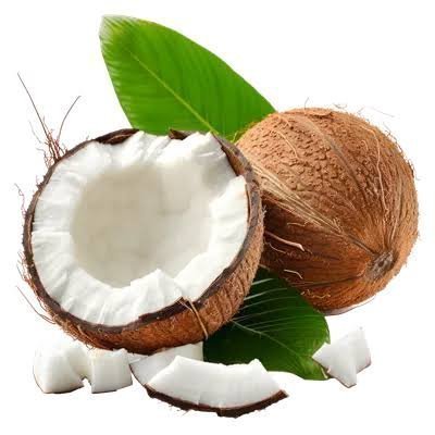 دانلود عکس نارگیل با کیفیت بالا