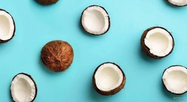  دانلود عکس نارگیل با کیفیت بالا