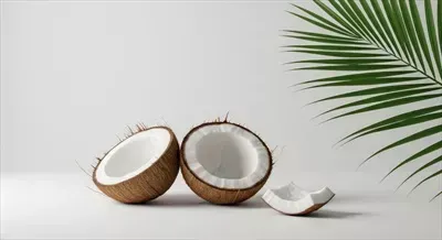  عکس نارگیل کیوت