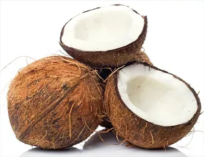  عکس نارگیل کیوت