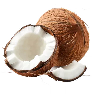  عکس نارگیل کیوت