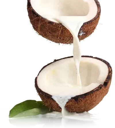  عکس نارگیل کیوت