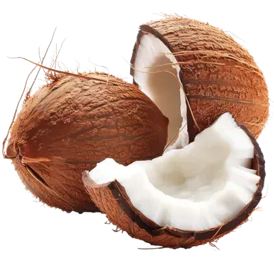  عکس نارگیل کیوت