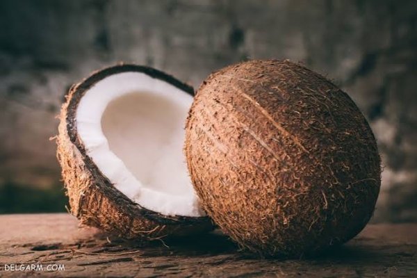  عکس نارگیل فانتزی