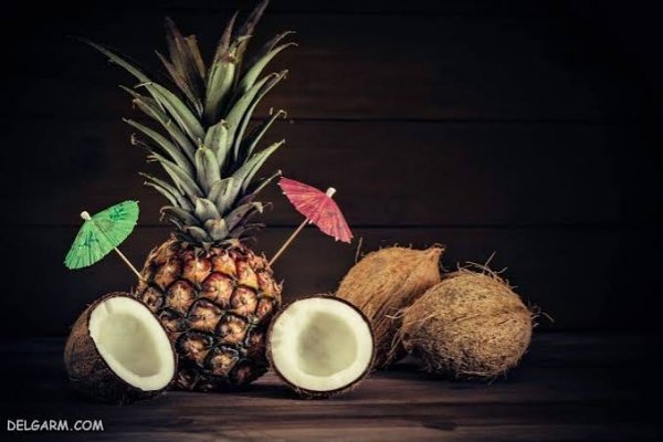  عکس نارگیل فانتزی