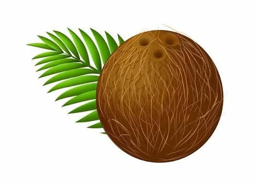 عکس نارگیل کارتونی