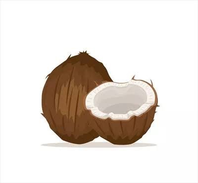 عکس نارگیل کارتونی