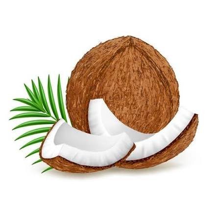  عکس نارگیل کارتونی