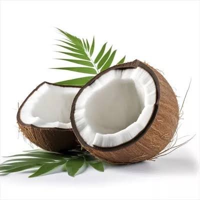 عکس نارگیل واقعی