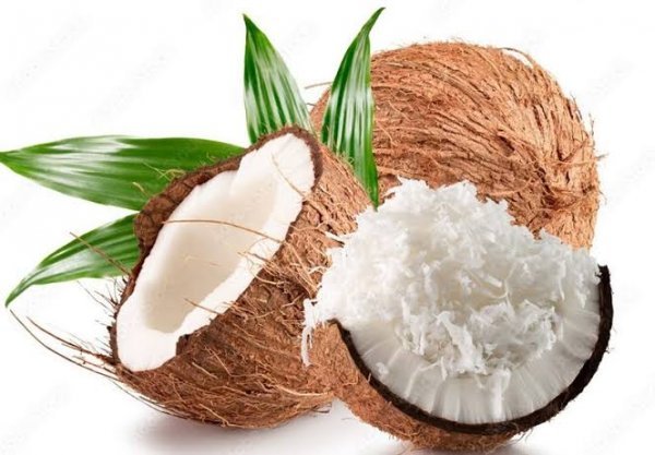  عکس نارگیل واقعی