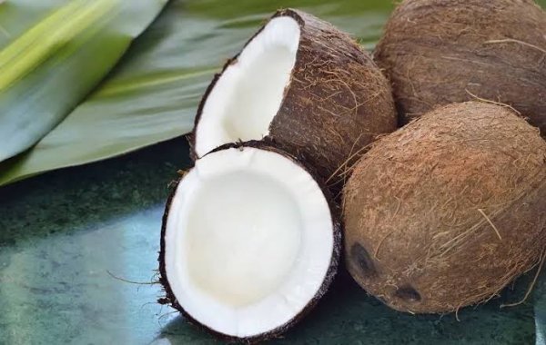  عکس نارگیل واقعی