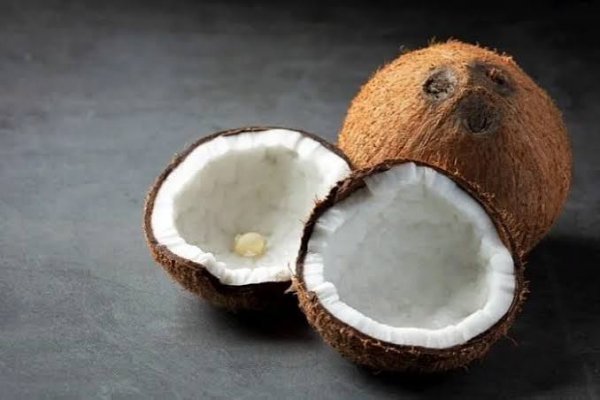 عکس نارگیل واقعی