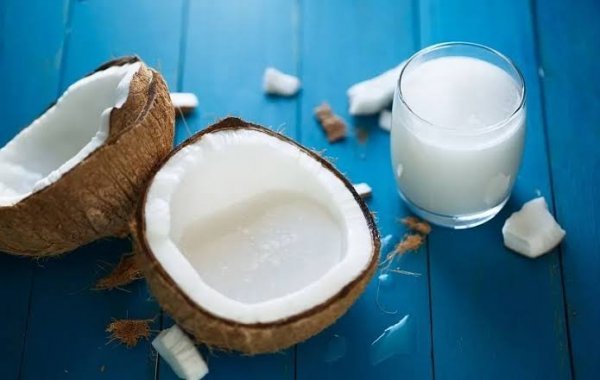  عکس نارگیل واقعی