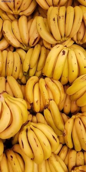 عکس موز