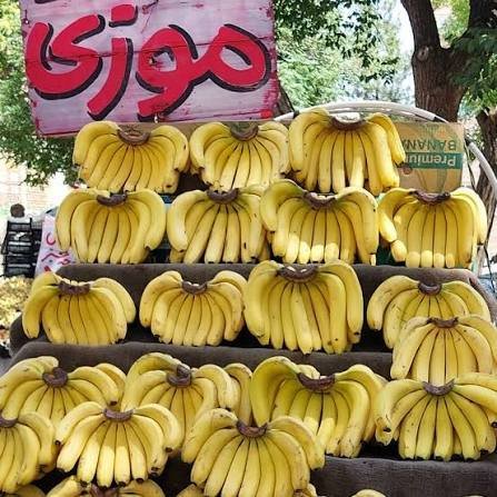  عکس موز