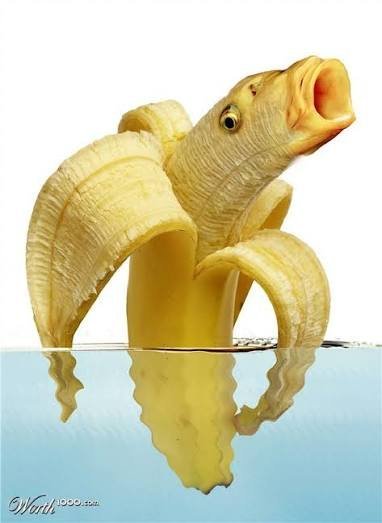 عکس موز خنده دار