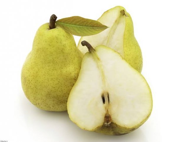  انواع گلابی با عکس
