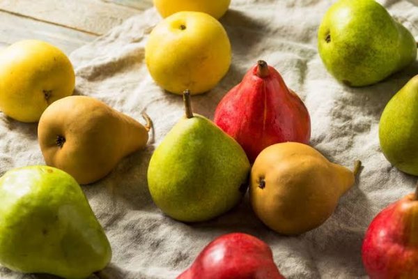  انواع گلابی با عکس